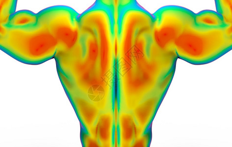 3d通过红外线结构测量将人体肌肉身扫描的后侧顶部分与白色背景上隔离的剪切路径相测量地方病研究渲染图片