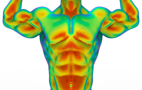 科学最佳通过红外线结构测量用白色背景隔离的剪切路径进行人体肌肉扫描的前侧顶部分3d经过图片