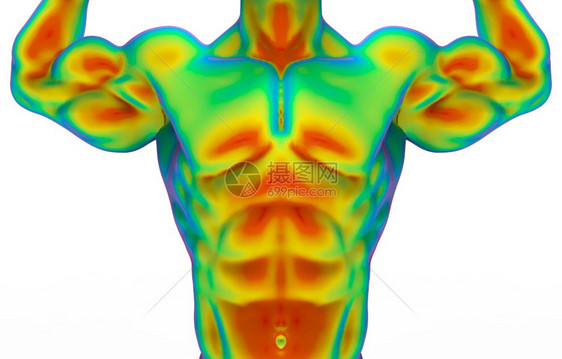 科学最佳通过红外线结构测量用白色背景隔离的剪切路径进行人体肌肉扫描的前侧顶部分3d经过图片