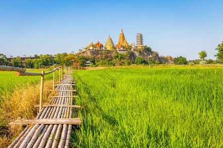 白色的最佳泰国Kanchanaburi省ThamSuaTempleTimber洞穴WatThamTemple洞穴景观和茉莉稻田是图片