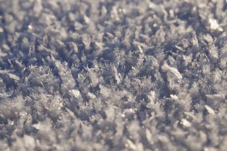 季节以框架中央为焦点浅水深的阳光明媚天气下雪背景寒冬冰雪背景地表冬天幻想拍照图片