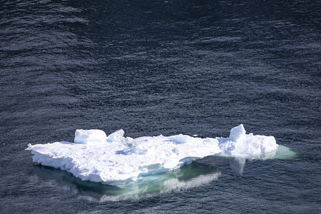 海在南极洲的黑暗水中游来去南冰山块细节图片