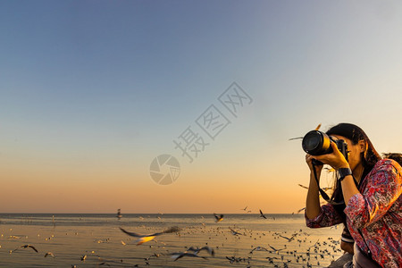 翅膀亚洲人在泰国邦浦海边拍摄照片鸥的亚洲女有选择的重点国民图片