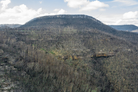 衬套威尔士新的澳大利亚蓝山森林严重野火后再生的空中观风景澳大利亚青山图片