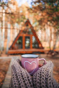 在秋天温馨的屋子背景上热杯茶温暖的女主人手拿羊毛衫热杯茶温暖的女老板手拿羊毛衣服背景上舒适的房子背景上感恩早餐森林图片