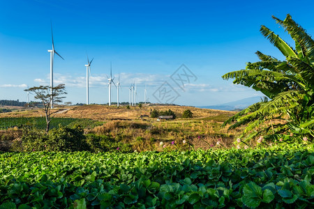 新能源风力发电机图片
