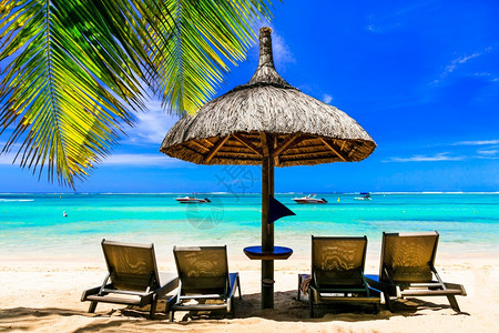 夏天带雨伞海滩椅和棕榈树的热带海滩风景安详毛里求斯图片