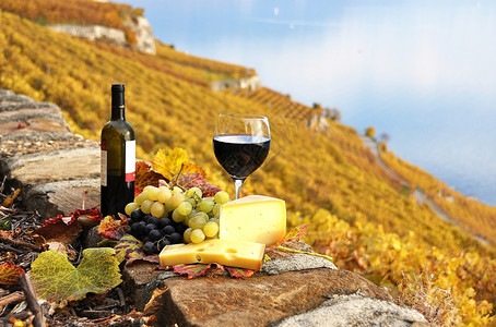 落下酒精湖瑞士拉沃克斯地区露台葡萄园的红酒和象棋图片