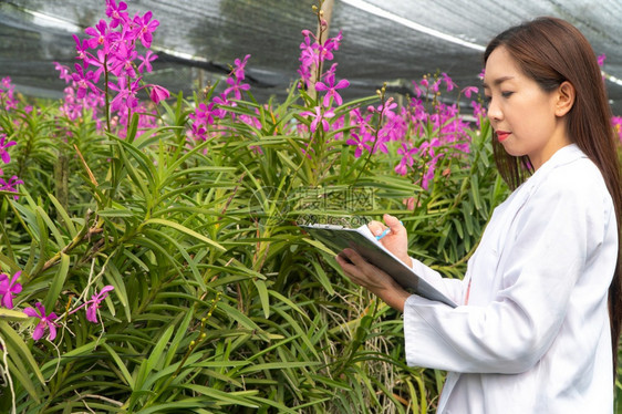 生物学快乐的研究员植物兰花身戴白帽子手拿着笔和记本作研究录白色的丰富多彩图片