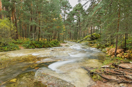西班牙塞戈维亚雨天BocadelAsno自然公园森林中一条河流的景象新鲜一种黄色图片