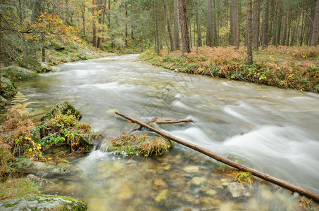 环境塞哥维亚西班牙戈雨天BocadelAsno自然公园森林中一条河流的景象观图片