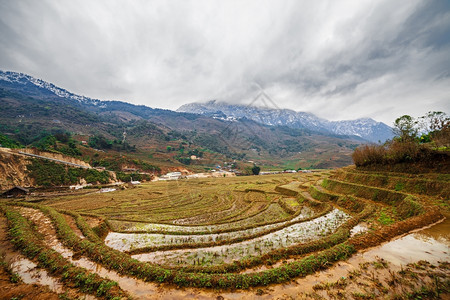 越南冬季萨帕的稻田露天梯亚洲土地阳台图片