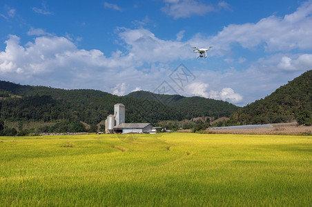专业的农无人驾驶飞机在小麦田上方空中飞翔工业农智能作和场结构以本底智能农作工业的土地图片