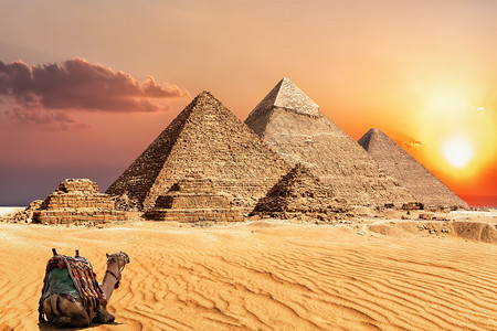 老的复杂文明一只骆驼在埃及吉萨金字塔附近的沙漠中观看日落一只骆驼在埃及吉萨金字塔附近的沙漠中观看日落图片