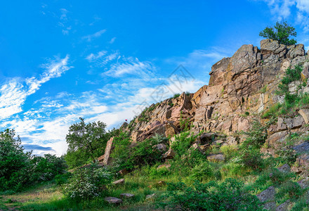 生态草米格亚乌克兰Migiya村附近的南虫河岩石岸阳光明媚的夏天日乌克兰Migiya自然的美景图片