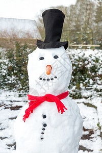 冬季穿着黑帽子红披肩扣和橙胡萝卜的雪人季节娱乐寒冷的图片