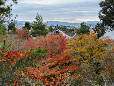 建造风景日本京都林山的田柳寺庙和秋色叶子的景日本人图片