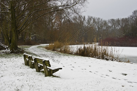 雪季的公园长椅背景图片