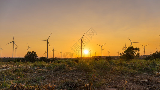 风力涡轮机养殖场景观美丽日落黑地在泰国NakornRachasima发电产生机螺旋桨图片