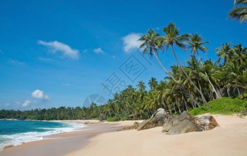 风景水斯里兰卡南部省斯里兰卡亚洲南部省带有绿海浪椰子棕榈树和精细未触及沙滩的天堂海景图片