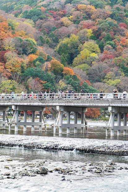 竹子落下位于阿拉希山的有多彩叶和Katsura河的tgetsukyo桥在京都日本秋季节周和观光旅游景点都很受欢迎的里程碑树叶图片