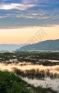 晒干老挝泰国东北部湄公河干涸的日落风景夏季泰国东北部干旱期间该河在中生长温室效应概念金的图片