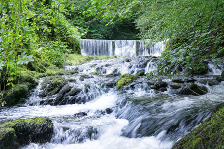 林地夏天的季绿色森林水瀑布地貌的美丽全景英国环湖区家公园GhyllForceAmbleside图片