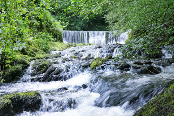 林地夏天的季绿色森林水瀑布地貌的美丽全景英国环湖区家公园GhyllForceAmbleside图片