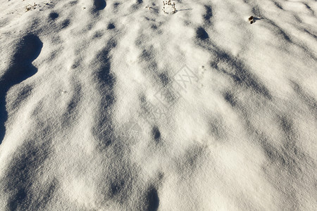 照片是在冬季的拍摄到在雪上可见撞起洞和植物上雪地的照片近距离拍下来了自然场地假期图片