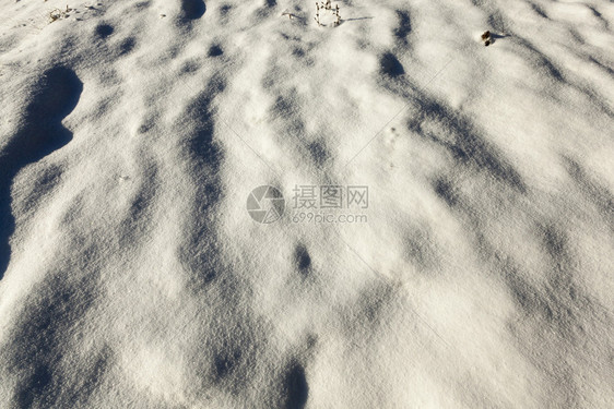 照片是在冬季的拍摄到在雪上可见撞起洞和植物上雪地的照片近距离拍下来了自然场地假期图片