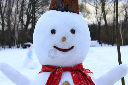 冰冷季节村庄在新年雪中人欢乐的赋予圣诞象征雪人与红围巾在厨房花园雪人快乐的圣诞图片