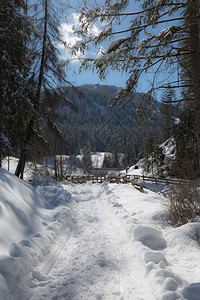 冬季雪景风光图片