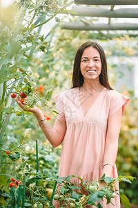 红色的美丽年轻女子在温室园艺年轻女子拿着一篮绿菜和洋葱在温室微笑季节图片