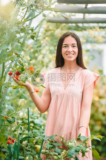 红色的美丽年轻女子在温室园艺年轻女子拿着一篮绿菜和洋葱在温室微笑季节图片