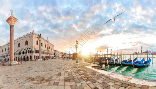 海鸥在意大利威尼斯圣马尔科广场附近的多格斯盖宫和贡多拉码头飞翔历史日出建筑学图片