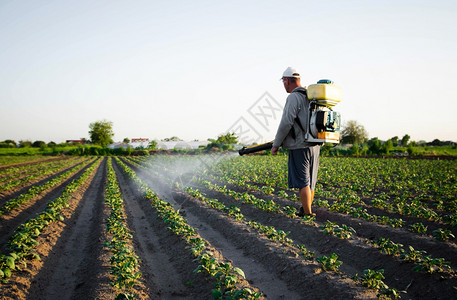 鼓风机器采用农民在种植园喷洒杀虫剂使用化学品保护植物免受昆虫和真菌感染农田工作业和工杀虫剂和菌图片