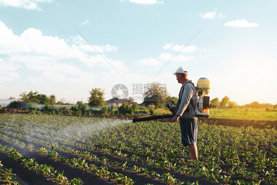 农民在种植园喷洒杀虫剂使用化学品保护植物免受昆虫和真菌感染农林开展药和杀真菌剂的田间工作农业和用工机器喷雾剂场地图片