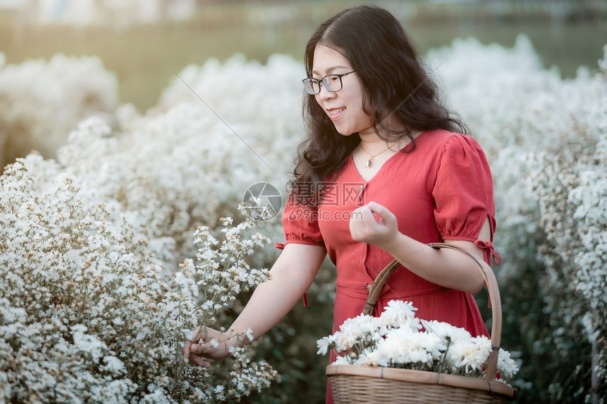 白色的人们玛格丽特在泰国清迈自然花园的白或玛格丽塔花田中享受着红礼服旅行放松假期概念在泰国清迈自然花园里图片