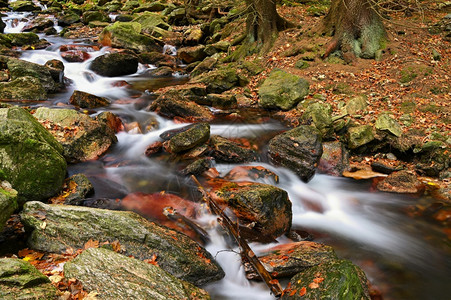 公园秋天白奥帕瓦瀑布Jeseniky山捷克充满河流石头的美丽多彩背景环境捷克语图片