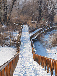 雪冬季在克罗地亚巴拉尼的Kopacecevo新修建的冷冻行人桥森林自然图片