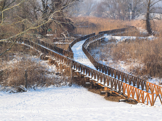 走楼梯季节冬在克罗地亚巴拉尼的Kopacecevo新修建的冷冻行人桥图片