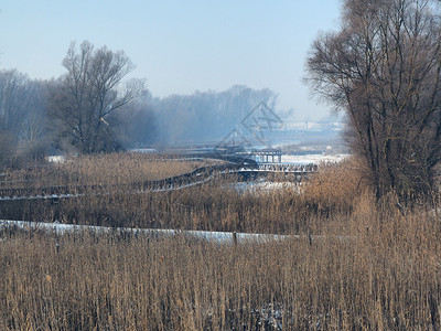 冰老的冬季在克罗地亚巴拉尼的Kopacecevo新修建的冷冻行人桥木头图片
