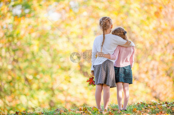 落下温暖的秋日户外可爱小女孩秋天背景树中孩子的背影秋天公园户外温暖的日子里小可爱女孩幸福森林图片