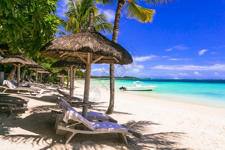 毛里求斯海景热带度假放松海滩风景在棕榈树和雨伞下配有沙椅异国情调图片