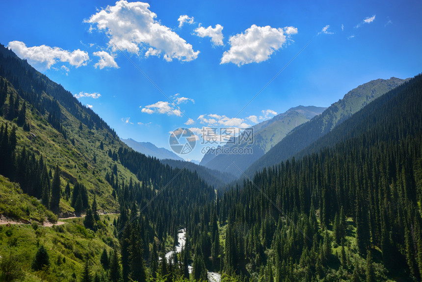 树木环境吉尔斯坦山区美丽的风景林有岩石fir树和蓝天空平户外场景结石图片