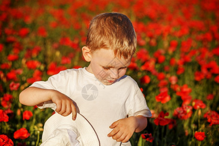喜悦在炎热的夏日田种植花的小可爱男孩独自的松弛图片