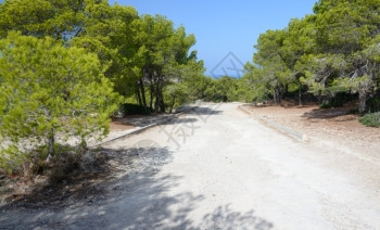 宁静白色道路位于马贾卡圣埃尔姆山上脉的森林中平静阳光图片