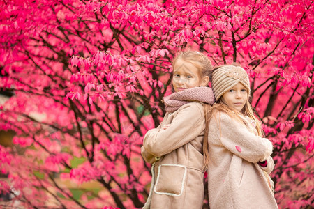 一种黄色的在温暖的秋日户外快乐小女孩秋天子们在温暖秋天户外公园里可爱的小女孩图片