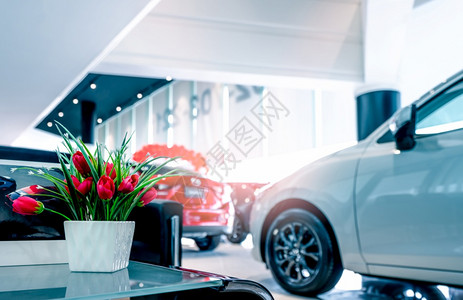 汽车展厅背景在汽车展厅玻璃桌上的陶瓷白色花瓶上陶瓷白色花朵中的假红汽车经销商人造花在停现代展览厅出售的新闪亮豪华轿车上经销权保险内部的背景