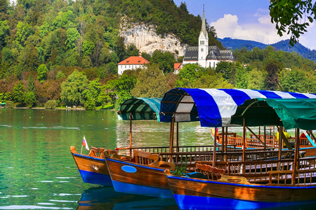 斯洛文尼亚最美的湖布莱德欧洲最美丽的传统木制船之一带有绿化水的河布莱德湖斯洛文尼亚自然风景优美浪漫的森林图片